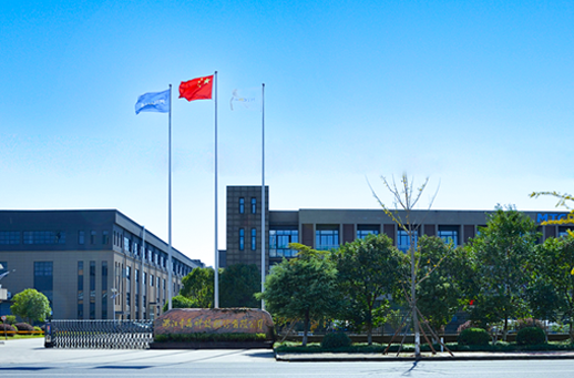 美彩国际(中国)有限公司